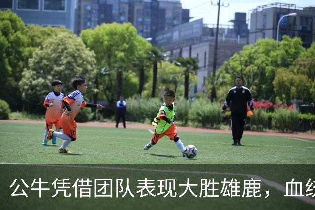 公牛凭借团队表现大胜雄鹿，血统天赋初露锋芒